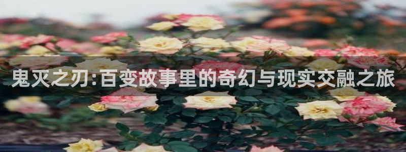 魅魔樱花动漫