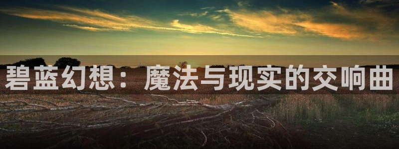 速写者樱花动漫