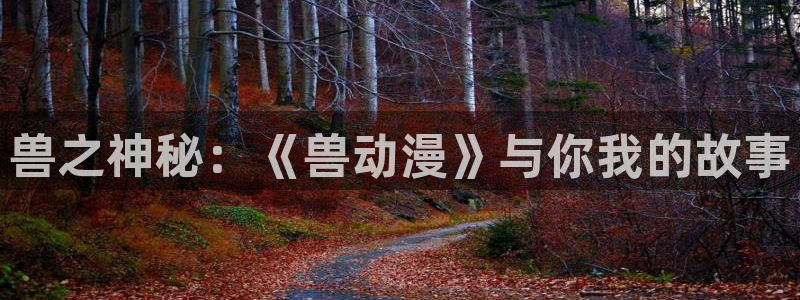 海贼王全集免费看樱花动漫