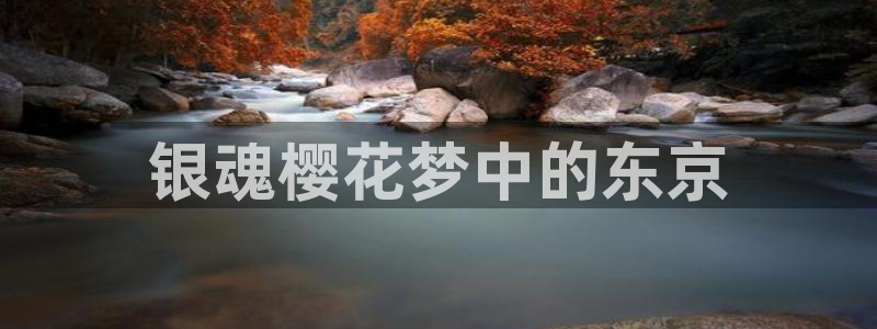 动漫樱花动漫在线观看