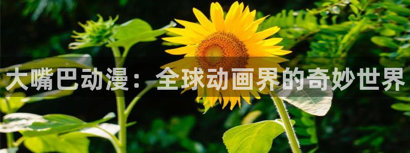 樱花动漫专注动漫的网站实时更新