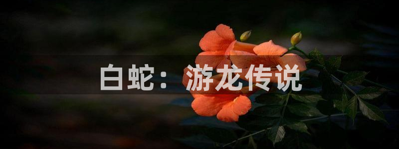樱花动漫正版官方网站