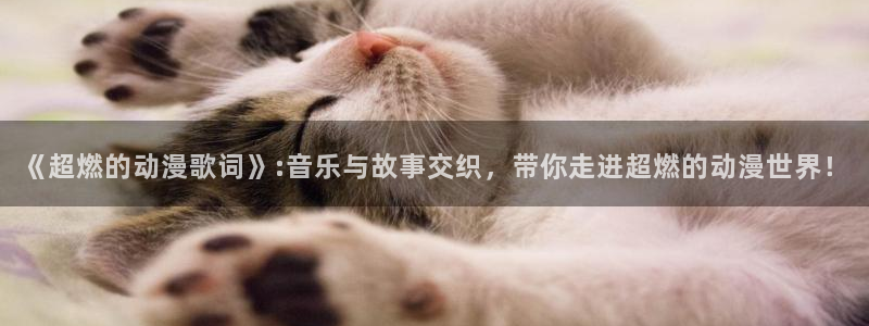 德凯奥特曼樱花动漫免费观看