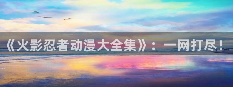 樱花动漫官网网址：《火影忍者动漫大全集》：一网打尽！