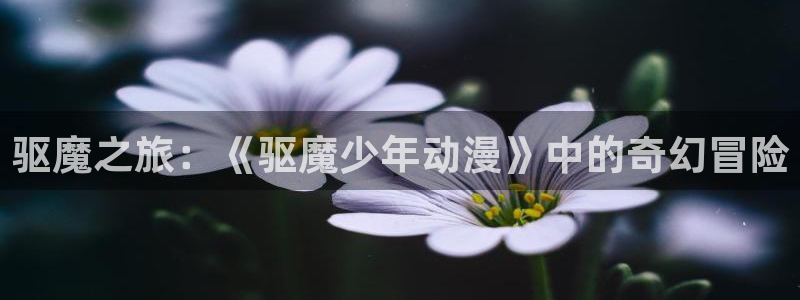 无颜之月无删减樱花动漫