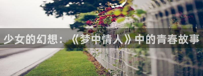 魔装学园hxh樱花动漫