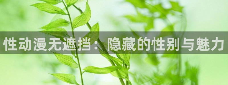 时间静止学院樱花动漫