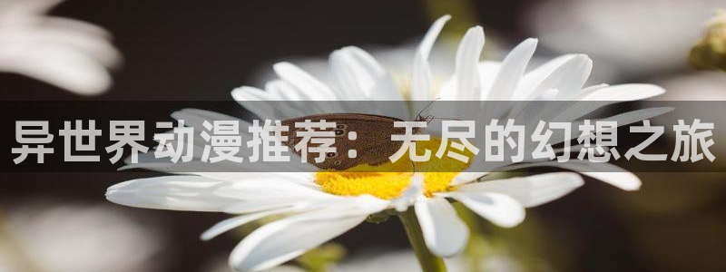 精灵之森樱花动漫