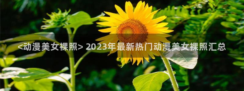樱花动漫网专注动漫的门户