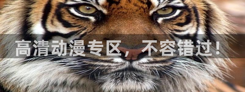 我的系统很正经漫画樱花动漫