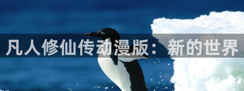 樱花动漫在线在线观看：凡人修仙传动漫版：新的世界