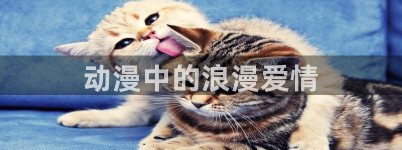 间之契樱花动漫