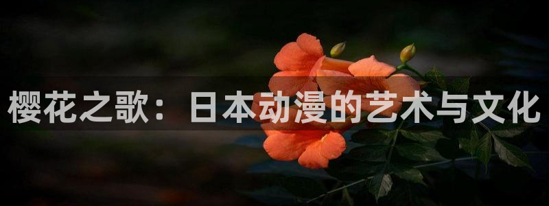 缘之空樱花动漫在线观看