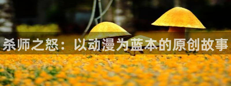 狂赌之渊第一季樱花动漫