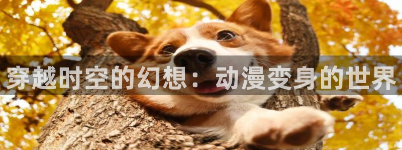 极黑的布伦希尔特樱花动漫