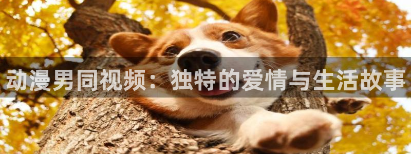樱花动漫动作片