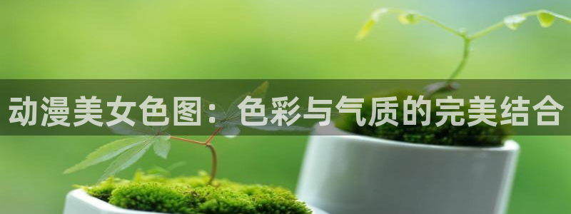 埃及猫动画原版樱花动漫