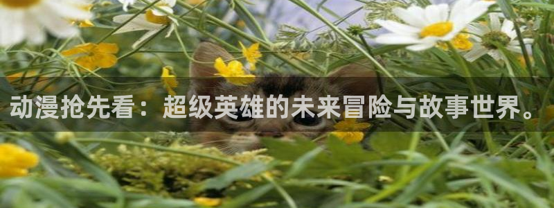 肉嫁樱花动漫在线观看