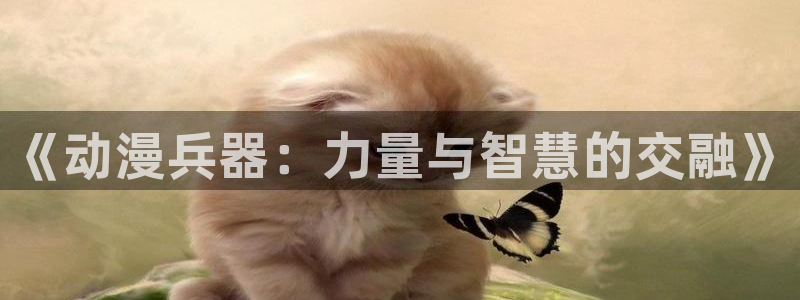 第二季樱花动漫