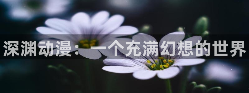 棍之勇士动漫在线观看樱花动漫：深渊动漫：一个充满幻想的世界