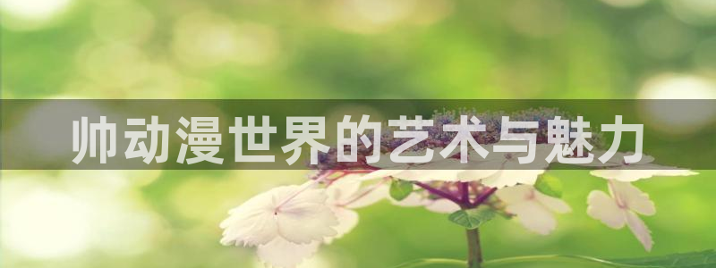 时空之隙樱花动漫：帅动漫世界的艺术与魅力