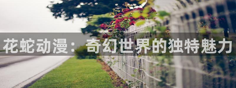 风车动漫观看网樱花动漫：花蛇动漫：奇幻世界的独特魅力