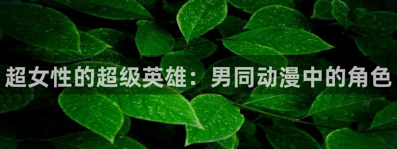 电波少女与青春男樱花动漫：超女性的超级英雄：男同动漫中的角色