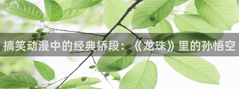 樱花动漫魔卡少女樱：搞笑动漫中的经典桥段：《龙珠》里的孙悟空